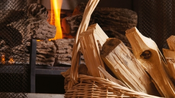 Bûches importées: une aberration écologique