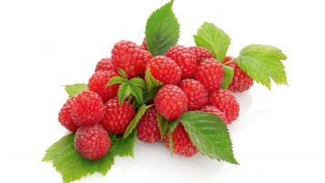 Bourgeon bio pour les framboises et les mûres espagnoles