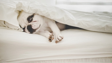 12 draps-housses: Quand les tissus rétrécissent au lavage