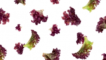 Quand ma salade a-t-elle été emballée?