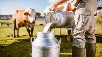 Chaque année, 80 millions de litres de lait à jeter