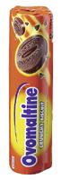11 biscuits au chocolat:  biscuits peu affriolants 