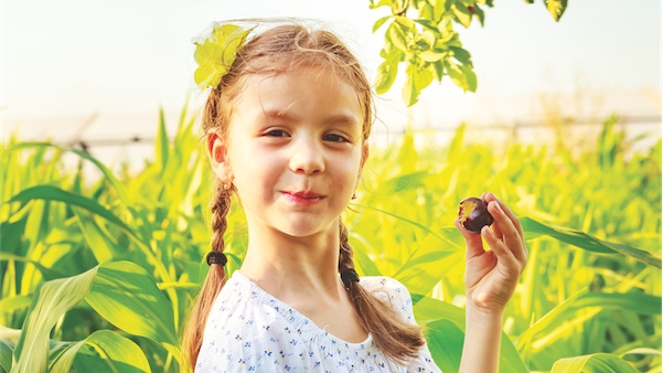 Les pruneaux ne comptent pas pour des prunes