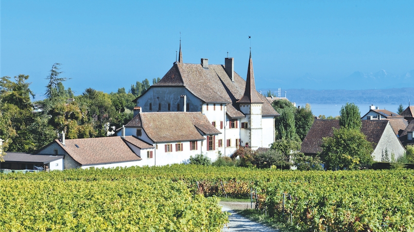 12 rosés suisses et français 2015, de super marchés, de 5.95 fr. à 17.90 fr.: Rosés: l'œil  ou les côtes?