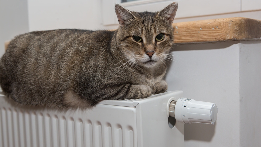 A radiateur futé, usager futé