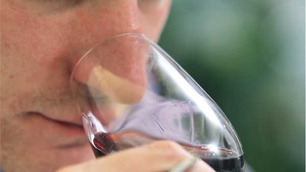 11 Barbera d’Alba et d’Asti: La barbera aux mille visages