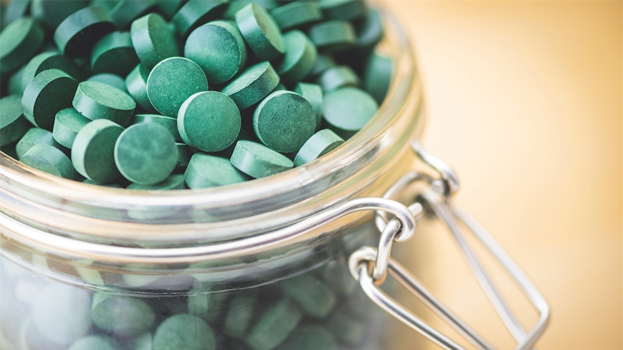 En quête de vitamine B12