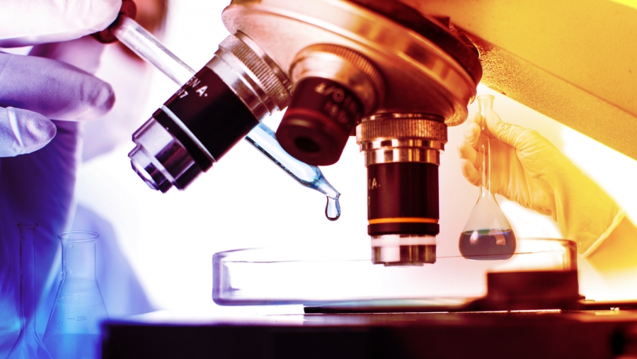 Sucreries gorgées de nanoparticules!
