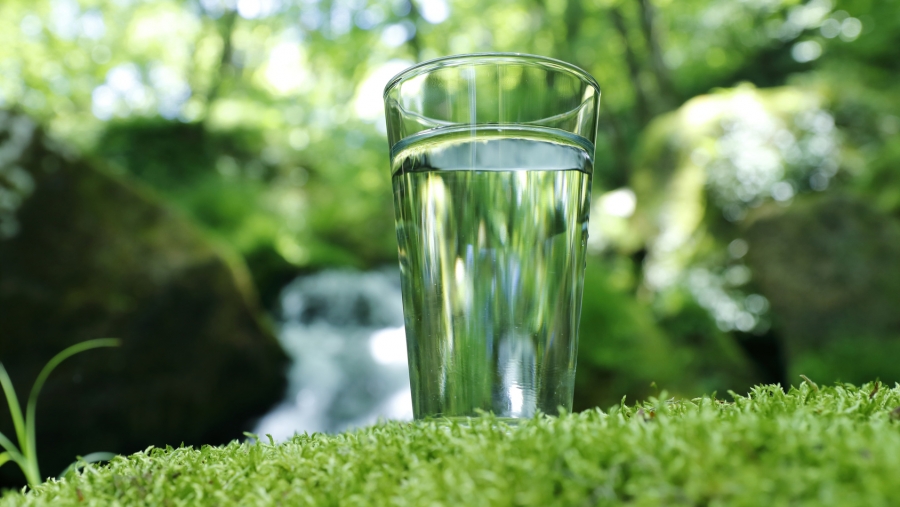 Bientôt 1200 fois plus de glyphosate toléré dans l’eau?