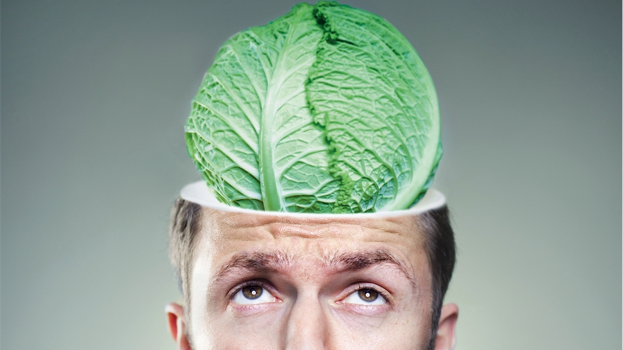 En 2018, je nourris mon cerveau
