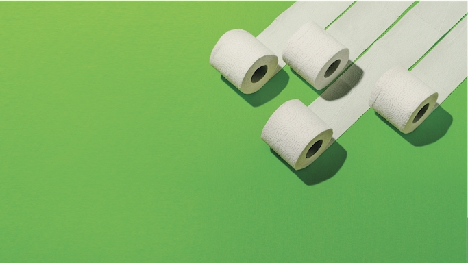 20 papier-toilette : pas de grand champion sur le trône