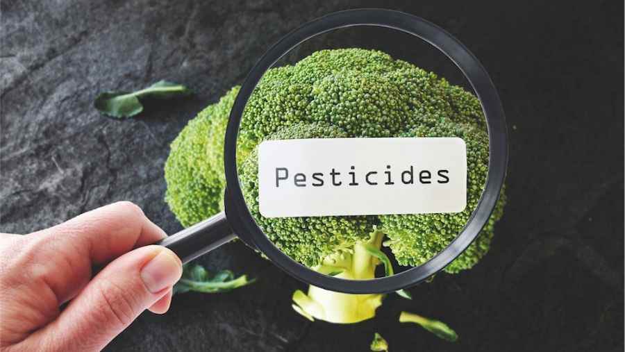 Dicamba, une licence pour tuer