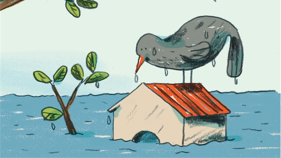 Parer au feu, à l’eau et au vent