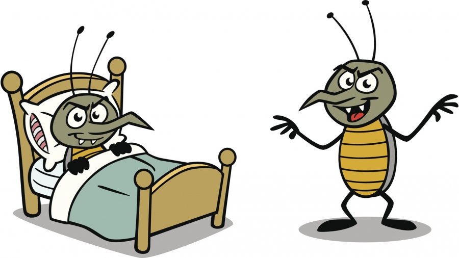 Punaise, mon lit est infesté!