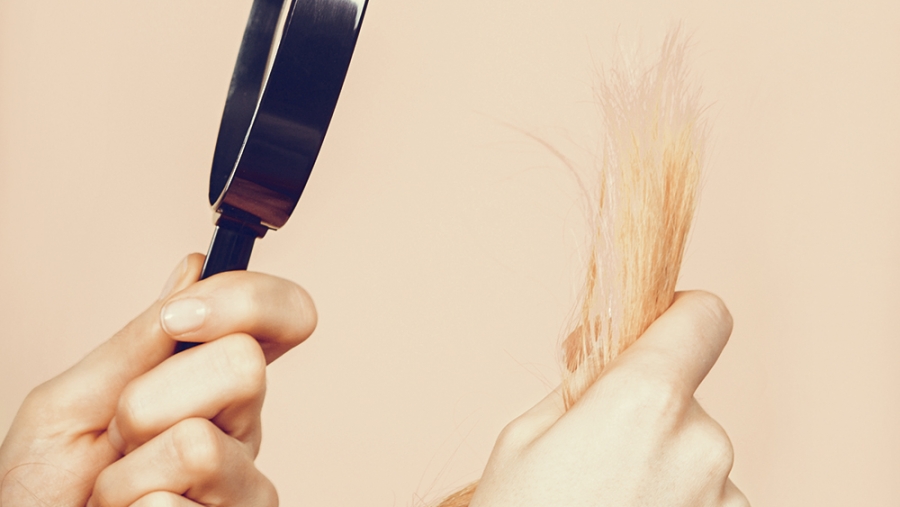 Des polluants à s’arracher les cheveux!