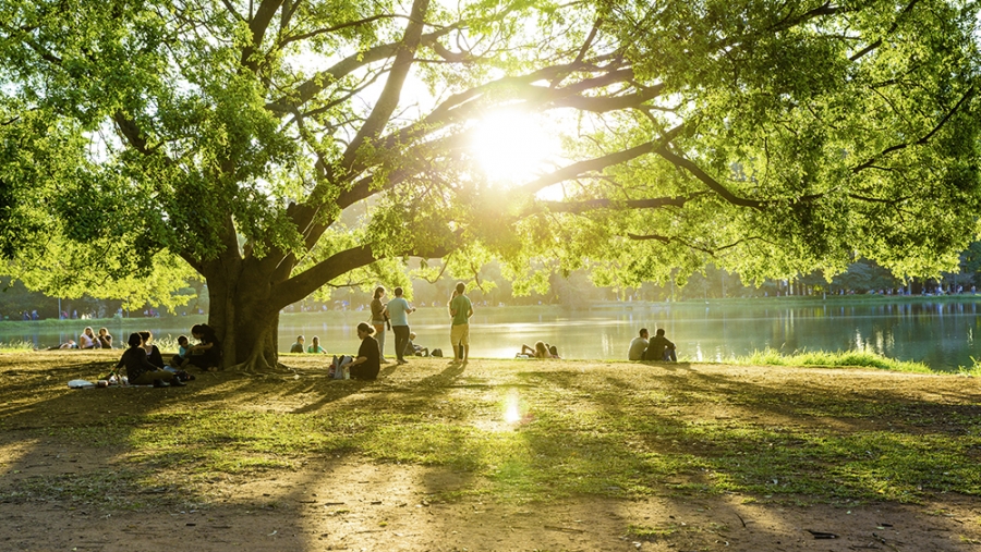 138 millions gaspillés pour la vitamine D