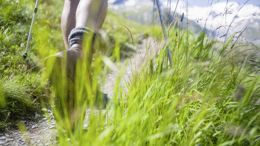 Prévenir et traiter les cloques aux pieds
