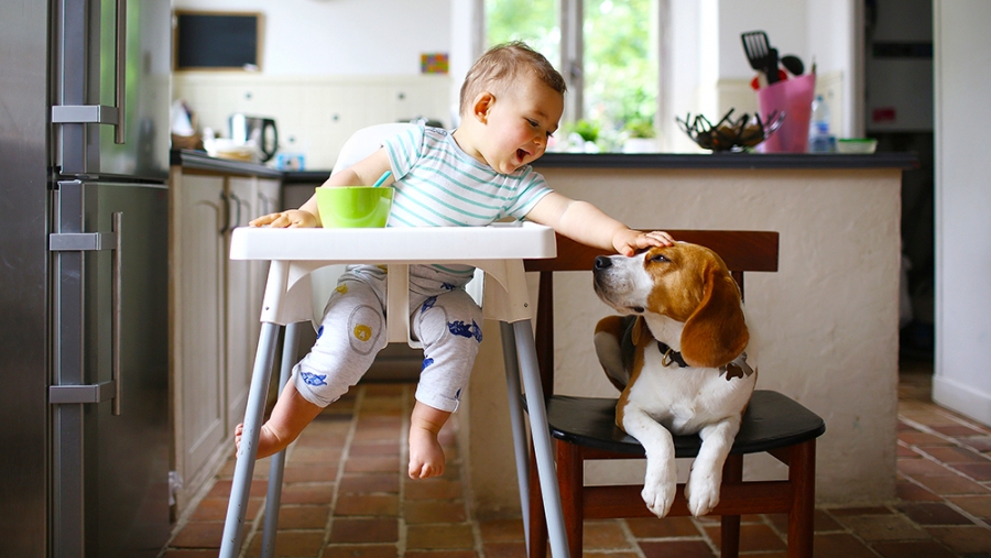 10 chaises hautes: à table, mon poussin!