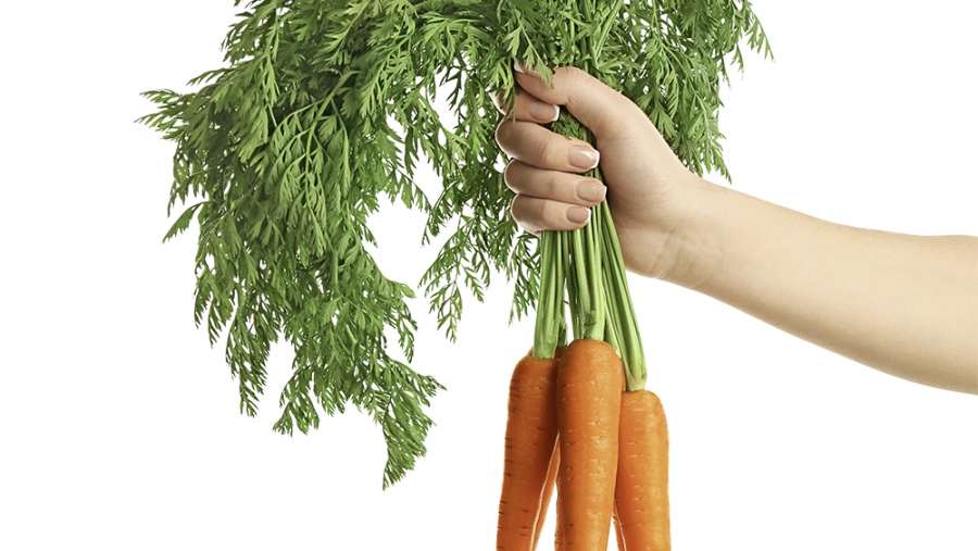 Mêmes légumes à prix différents