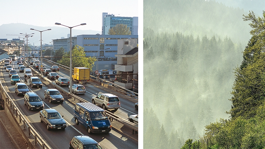 Le changement climatique augmente les risques d’allergies