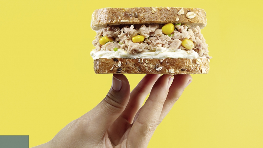 30 conserves de thon, de sardines et d'anchois: poissons en eaux troubles