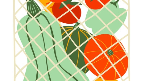 Des fibres alimentaires contre les AVC