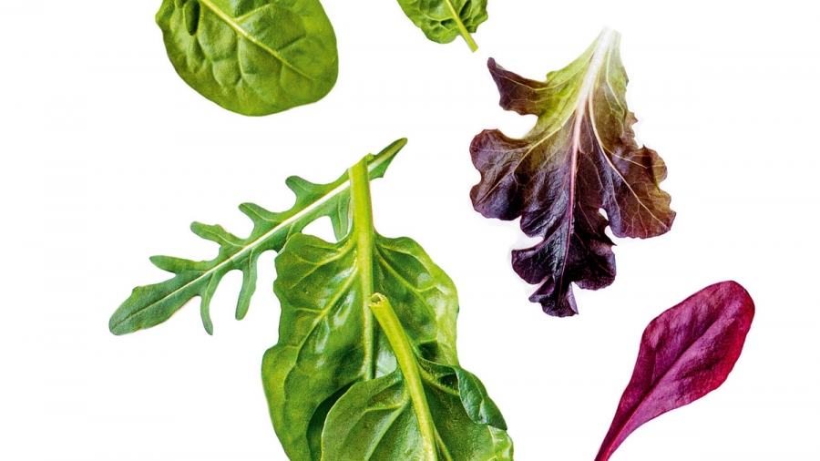 Pas de solution miracle pour laver ses légumes
