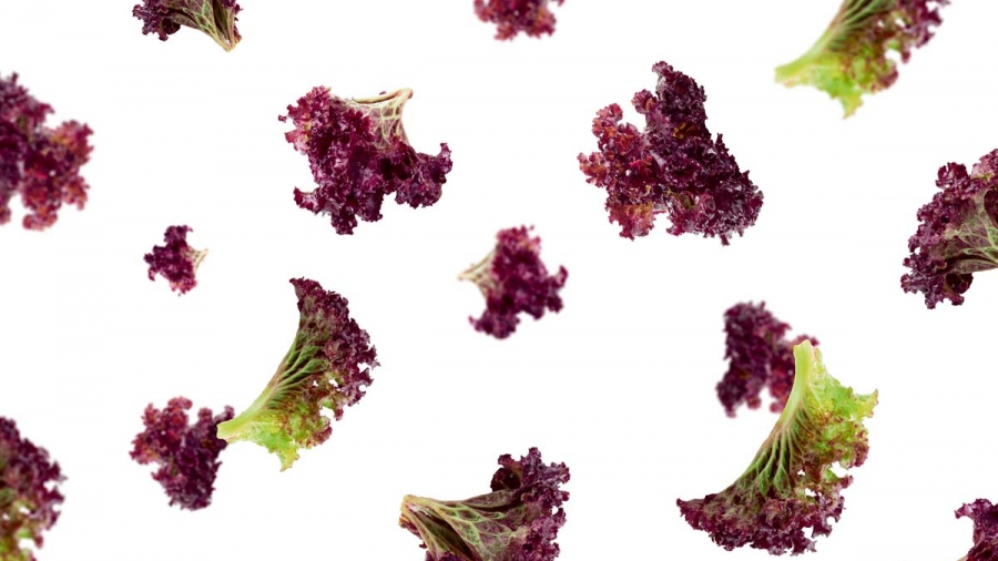 Quand ma salade a-t-elle été emballée?